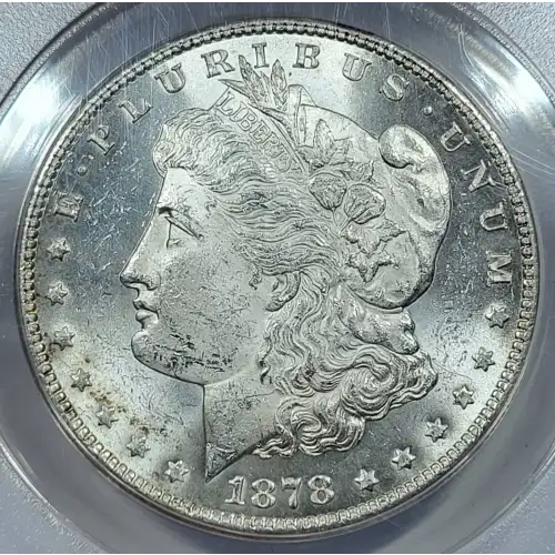 Morgan Silver Dollar (2)