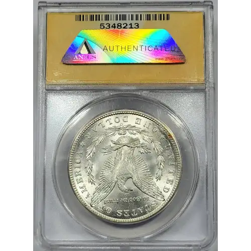 Morgan Silver Dollar (4)