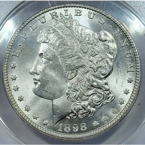 Morgan Silver Dollar (2)
