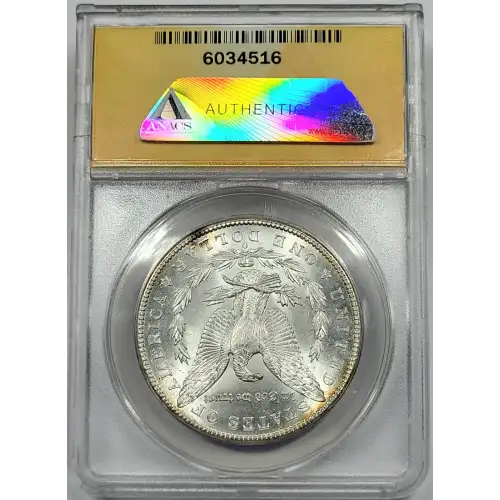 Morgan Silver Dollar (2)