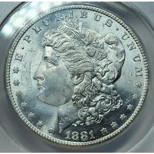 Morgan Silver Dollar (2)