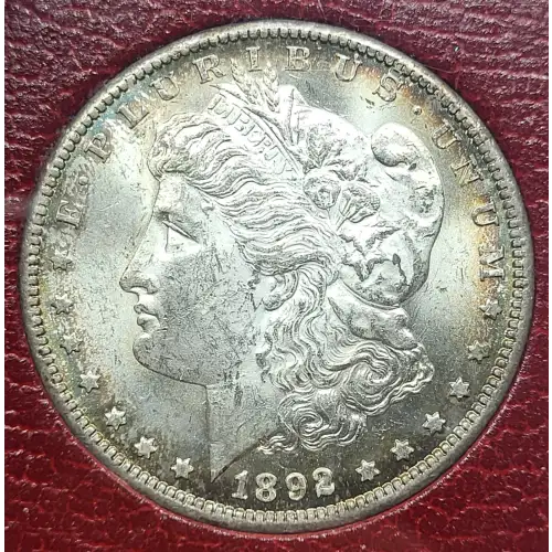 Morgan Silver Dollar (2)