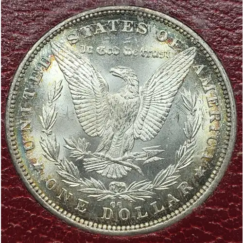 Morgan Silver Dollar (5)