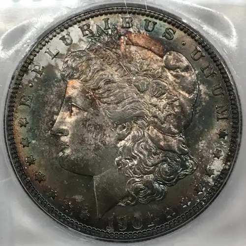 Morgan Silver Dollar (2)