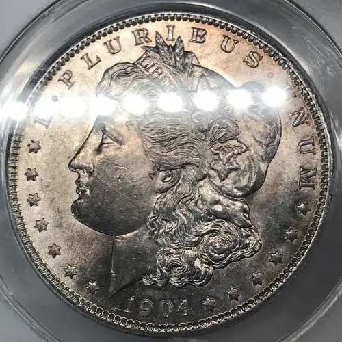 Morgan Silver Dollar (4)