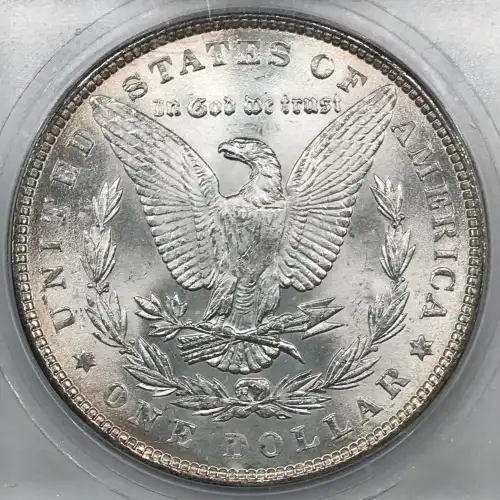 Morgan Silver Dollar (2)
