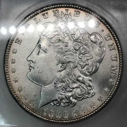 Morgan Silver Dollar (5)