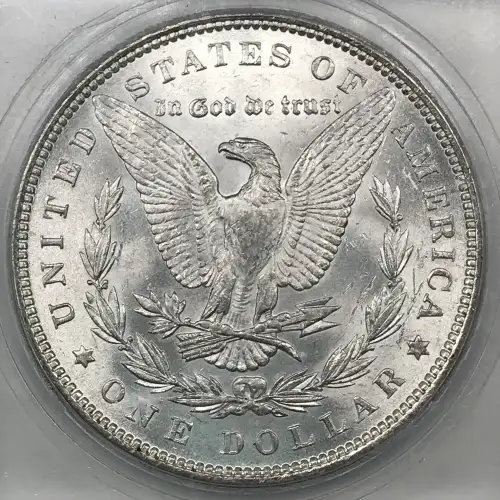 Morgan Silver Dollar (5)