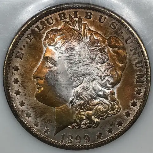 Morgan Silver Dollar (4)