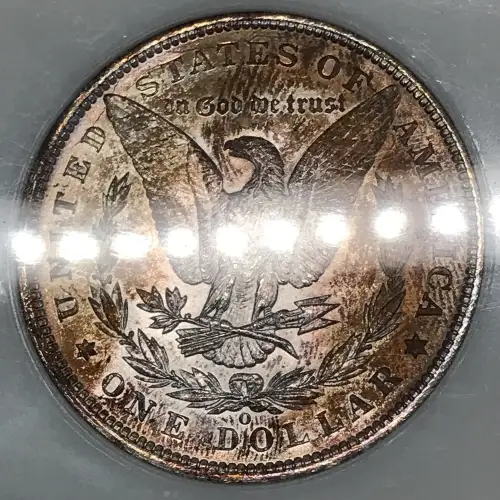 Morgan Silver Dollar (5)
