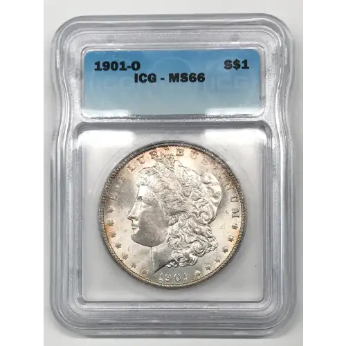 Morgan Silver Dollar (5)