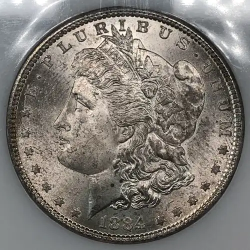 Morgan Silver Dollar (5)