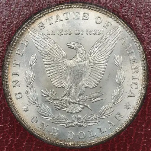 Morgan Silver Dollar (3)
