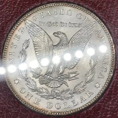 Morgan Silver Dollar (5)