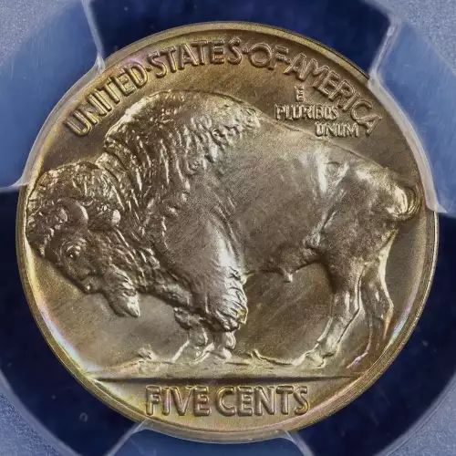 Nickel Five Cent Pieces-Indian Head or Buffalo