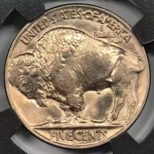Nickel Five Cent Pieces-Indian Head or Buffalo (4)