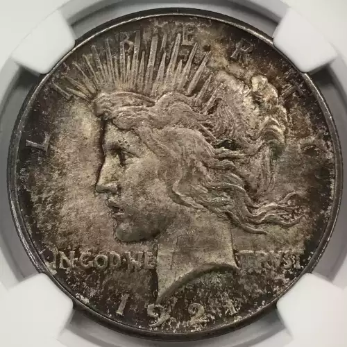 Peace Silver Dollar