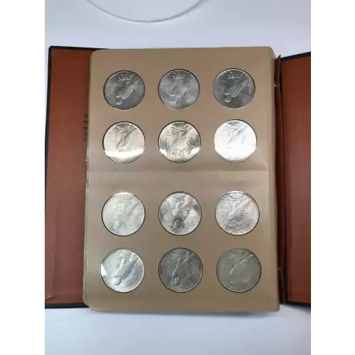 Peace Silver Dollar (4)