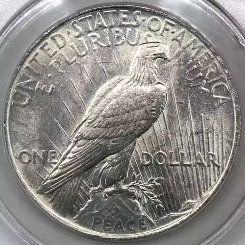 Peace Silver Dollar