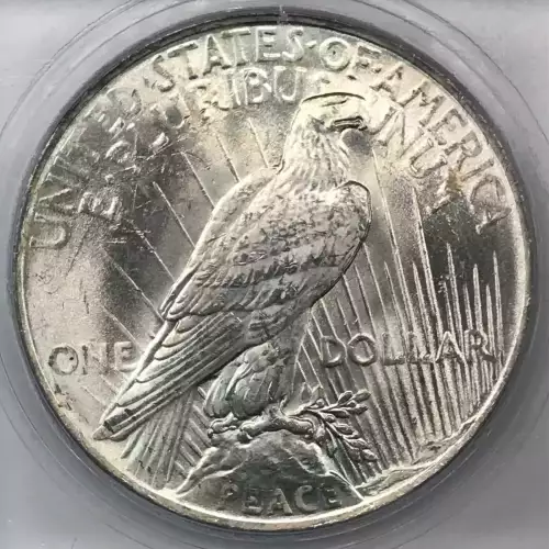 Peace Silver Dollar