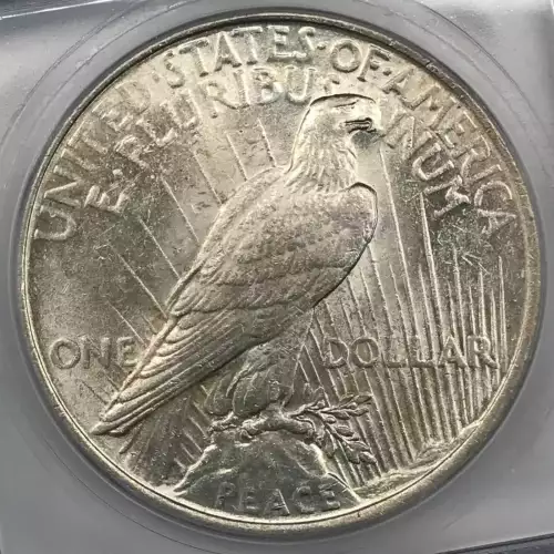 Peace Silver Dollar