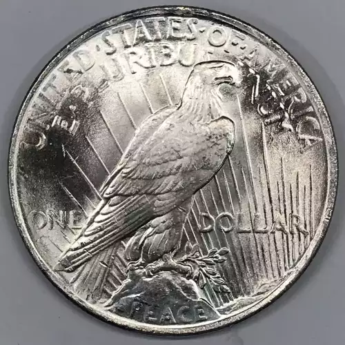 Peace Silver Dollar (4)