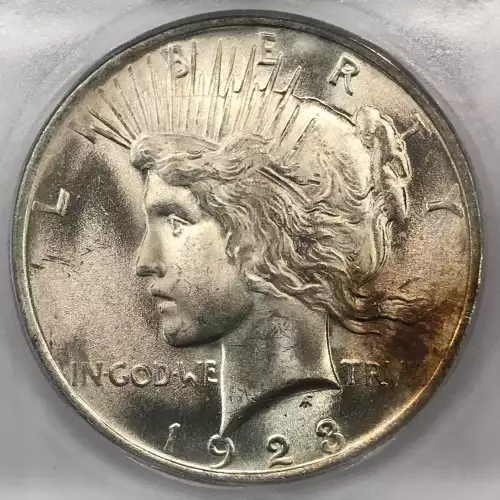 Peace Silver Dollar (2)