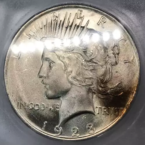 Peace Silver Dollar (3)