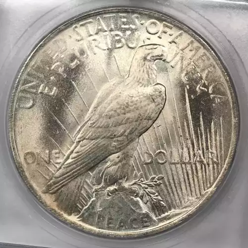 Peace Silver Dollar (4)