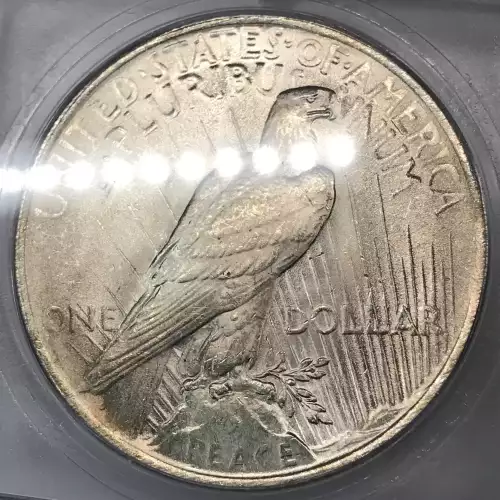 Peace Silver Dollar (5)