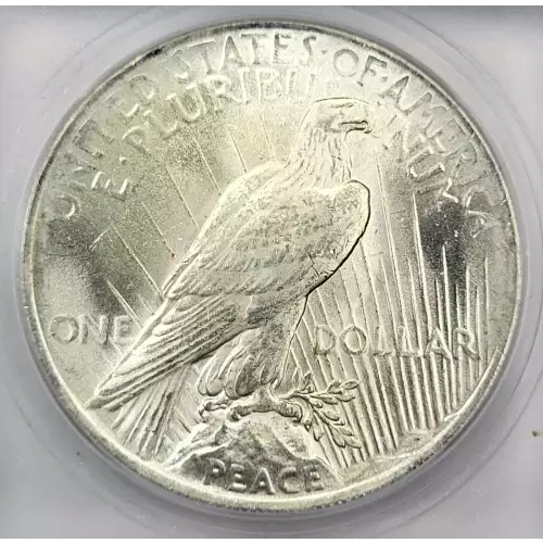 Peace Silver Dollar (4)