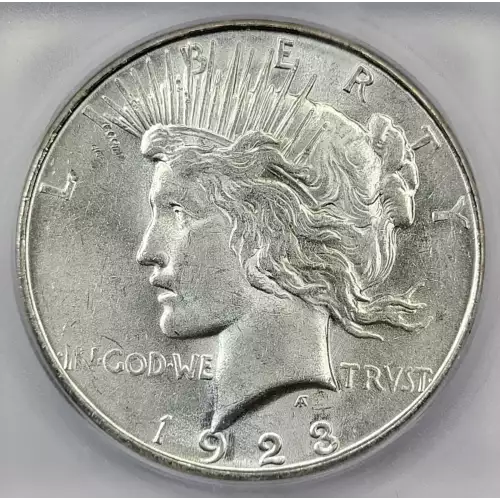 Peace Silver Dollar (2)