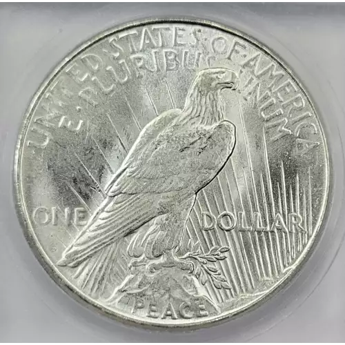 Peace Silver Dollar (4)