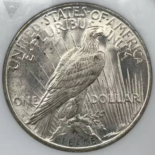 Peace Silver Dollar (3)