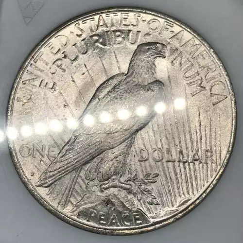 Peace Silver Dollar (5)