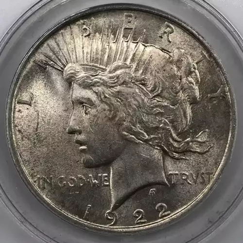 Peace Silver Dollar