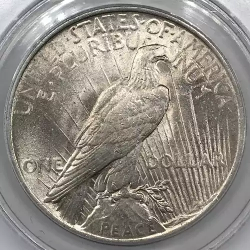 Peace Silver Dollar