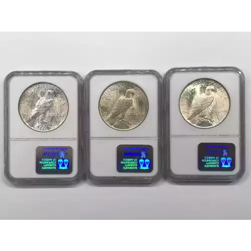 Peace Silver Dollar