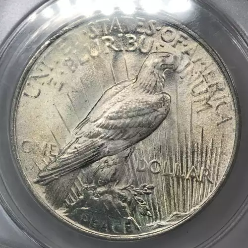 Peace Silver Dollar (4)