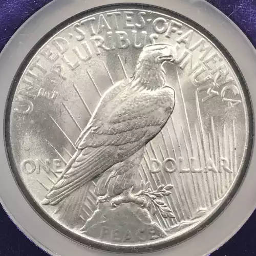 Peace Silver Dollar (4)