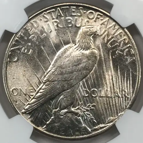 Peace Silver Dollar (4)