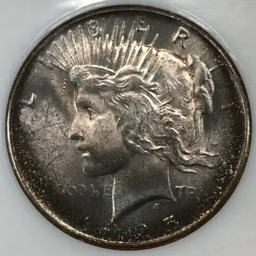 Peace Silver Dollar (2)