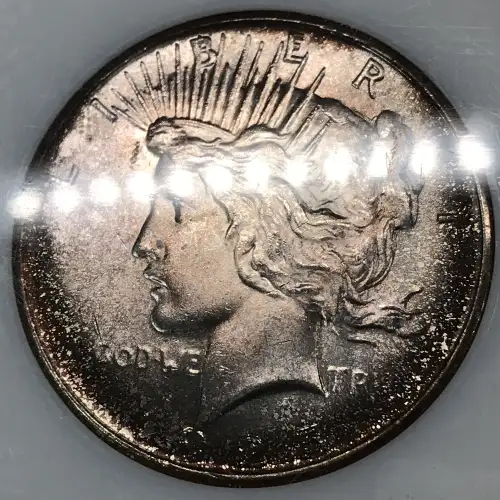 Peace Silver Dollar (3)