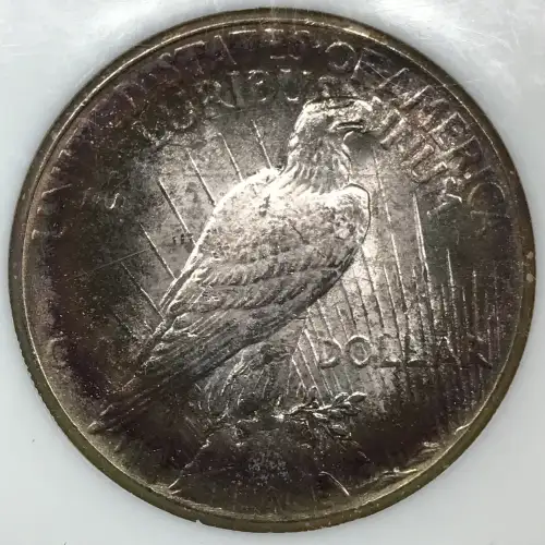 Peace Silver Dollar (5)