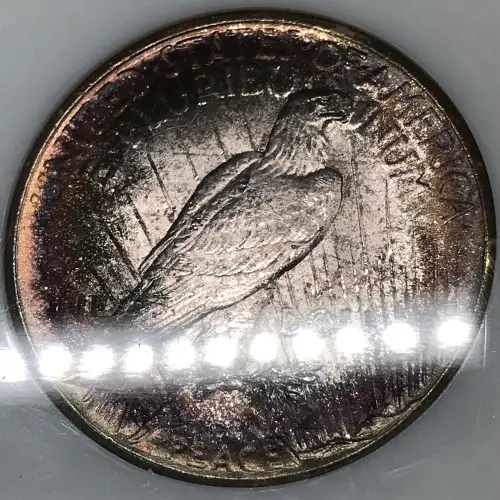 Peace Silver Dollar (7)