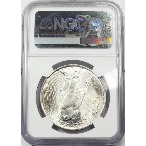 Peace Silver Dollar (3)