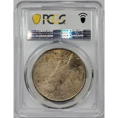 Peace Silver Dollar (4)