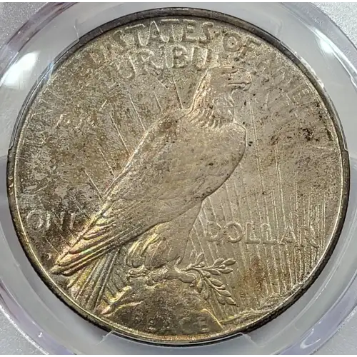 Peace Silver Dollar (5)