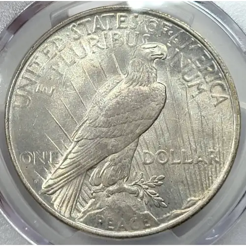 Peace Silver Dollar (5)