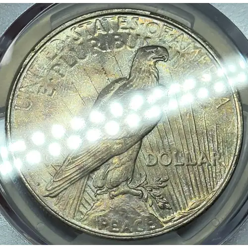 Peace Silver Dollar (6)